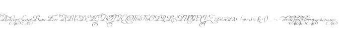 AubergeScriptBasicFive