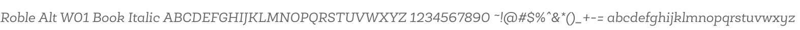 Roble Alt W01 Book Italic