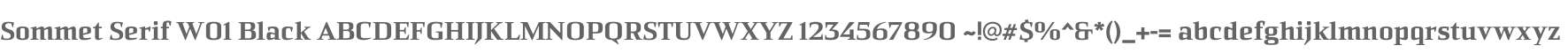 Sommet Serif W01 Black