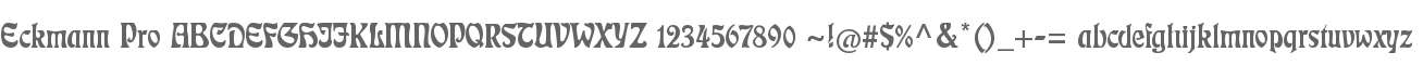 Eckmann Pro