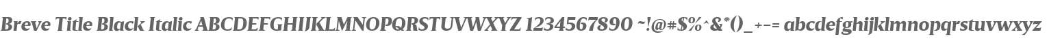 BreveTitle-BlackItalic