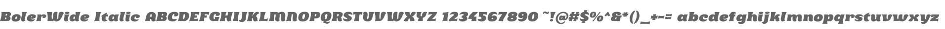 BolerWide Italic