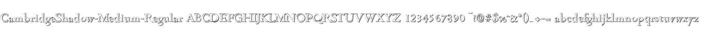 CambridgeShadow-Medium-Regular