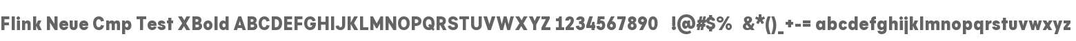 Flink Neue Cmp Test XBold