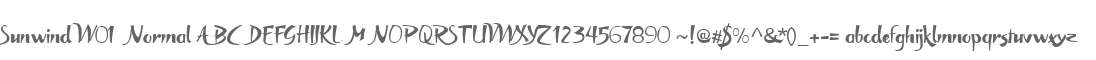 Sunwind W01 Normal