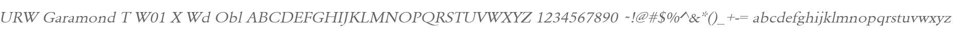 URW Garamond T W01 X Wd Obl