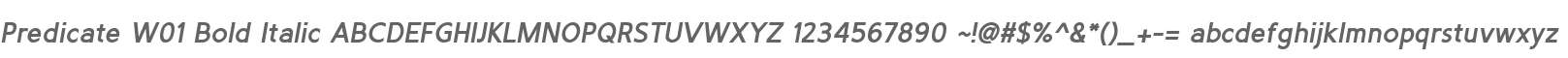 Predicate W01 Bold Italic