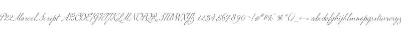 P22MarcelScript