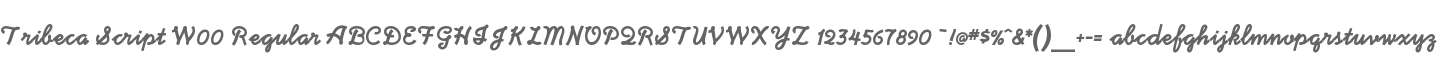 Tribeca Script W00 Regular