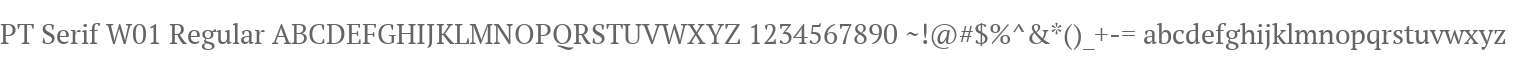 PT Serif W01 Regular