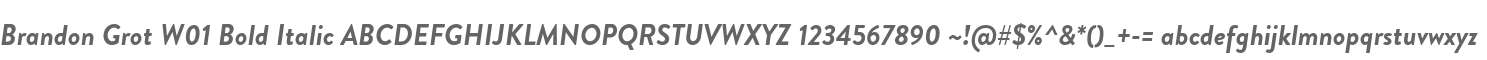 Brandon Grot W01 Bold Italic