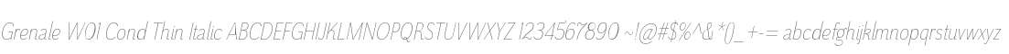 Grenale W01 Cond Thin Italic