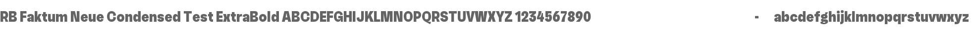 RB Faktum Neue Condensed Test ExBold
