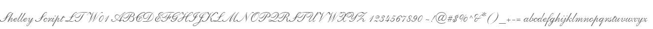 Shelley Script LT W01