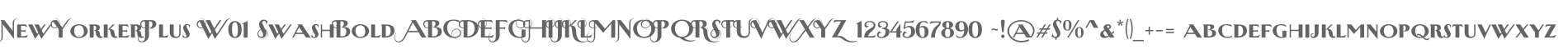NewYorkerPlus W01 SwashBold