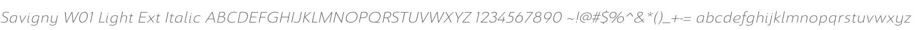 Savigny W01 Light Ext Italic