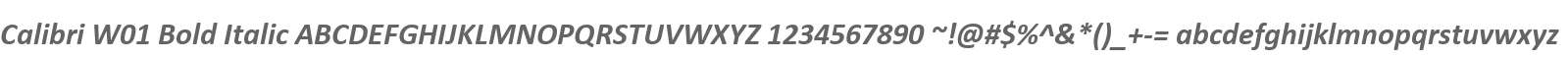 Calibri W01 Bold Italic