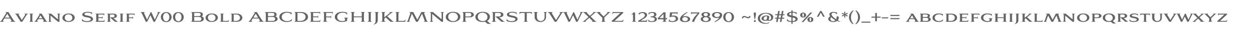 Aviano Serif W00 Bold