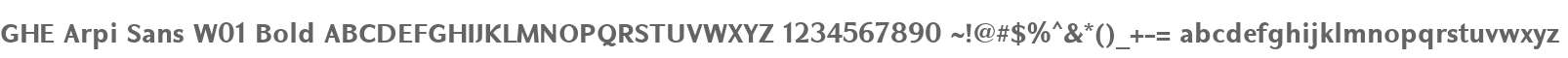 GHE Arpi Sans W01 Bold