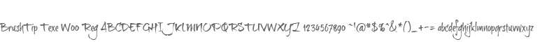 BrushTip Texe W00 Reg