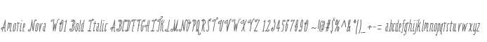 Amorie Nova W01 Bold Italic