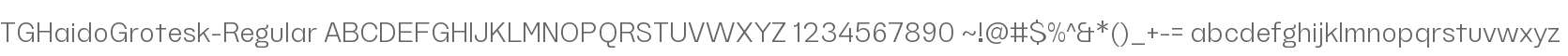 TGHaidoGrotesk-Regular
