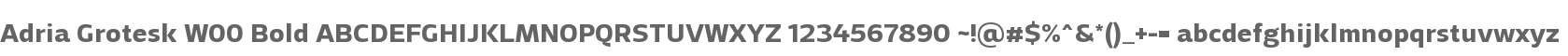 Adria Grotesk W00 Bold