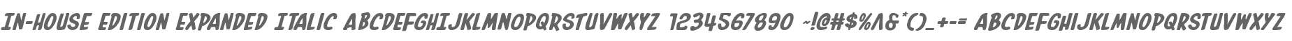 In-House Edition Expanded Italic