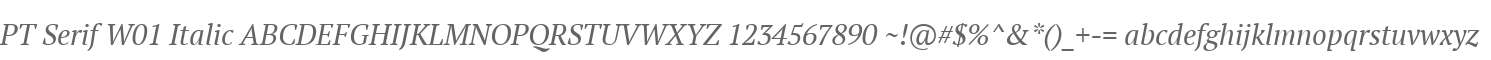 PT Serif W01 Italic