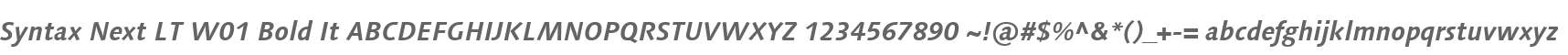 Syntax Next LT W01 Bold It