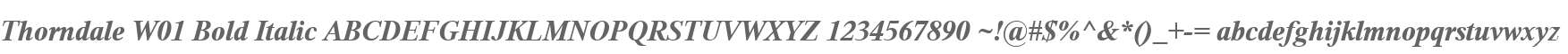 Thorndale W01 Bold Italic