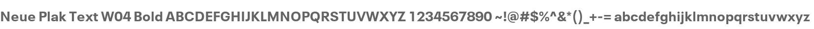 Neue Plak Text W04 Bold