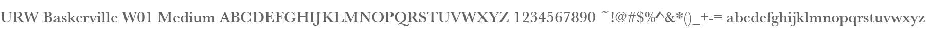 URW Baskerville W01 Medium