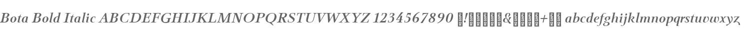 Bota Bold Italic