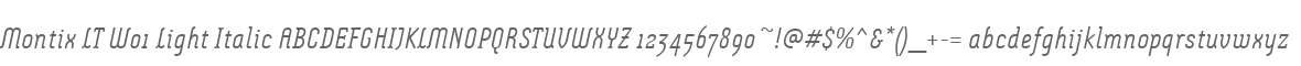 Montix LT W01 Light Italic