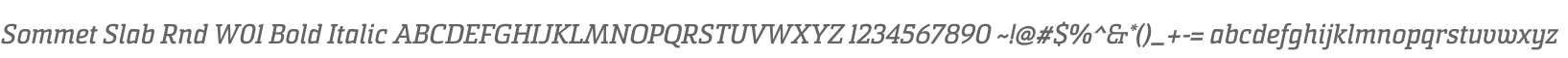 Sommet Slab Rnd W01 Bold Italic