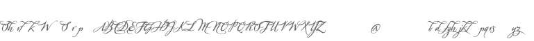 Sherlock W95 Script3