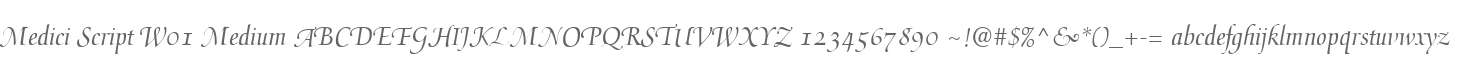 Medici Script W01 Medium