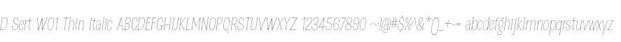 D Sert W01 Thin Italic