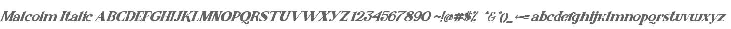 Malcolm Italic