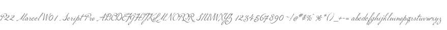 P22 Marcel W01 Script Pro