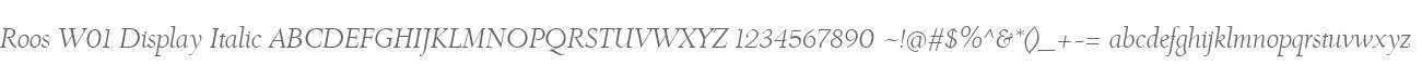 Roos W01 Display Italic