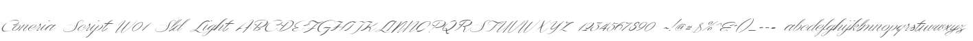 Coneria Script W01 Sld Light