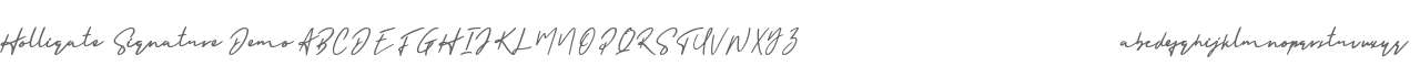 Holligate Signature Demo