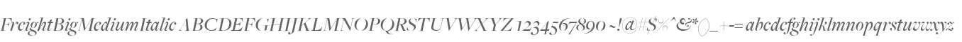 FreightBigMediumItalic