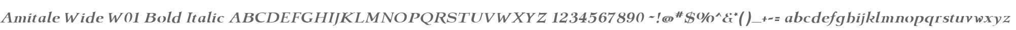 Amitale Wide W01 Bold Italic
