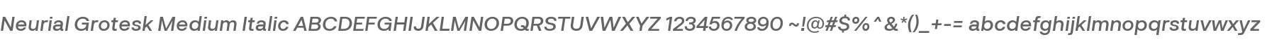 Neurial Grotesk Medium Italic