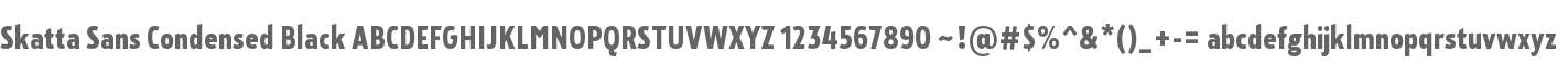Skatta Sans Condensed Black