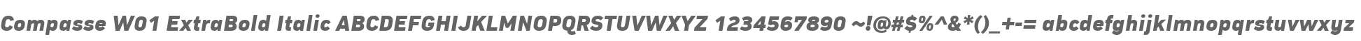 Compasse W01 ExtraBold Italic