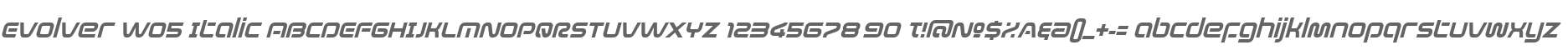 Evolver W05 Italic